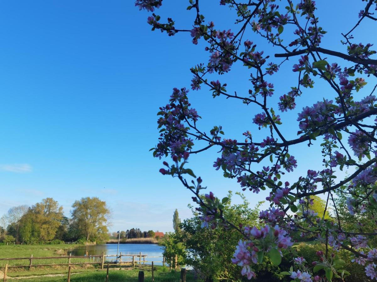 Stedinger Landhotel & Cafe Berne Kültér fotó
